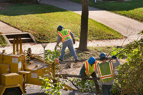 Best Hazardous Tree Removal  in Rosanky, TX